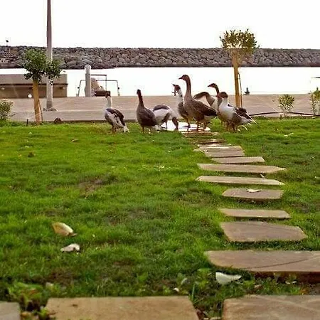 Hotel Pyrgiana Beach
